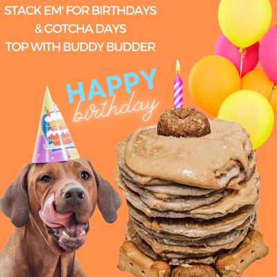 Show full view: Bark Bistro Company Pooch Pancakes Pumpkin Pup Dog Treat, 14-oz bag slide 8 of 11