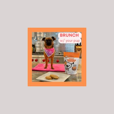 Show full view: Bark Bistro Company Pooch Pancakes Pumpkin Pup Dog Treat, 14-oz bag slide 9 of 11