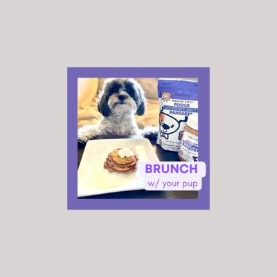 Show full view: Bark Bistro Company Pooch Pancakes Superberry Snoot Dog Treat, 14-oz bag slide 7 of 10