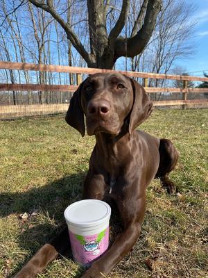 Show full view: Bark Bistro Company Power Chews! Soft Chew Joint Supplement for Dogs, 60 count slide 5 of 9