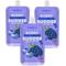 Show in main carousel: Bark Bistro Company Superberry Snoot Buddy Budder Grain-Free Lickable Dog Treat, 4-oz pouch, 3 count slide 1 of 4