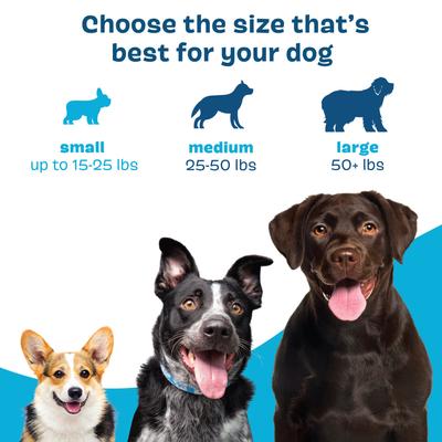 Show full view: BARK Bright Dental Kit: Medium Chicken Flavored Dental Dog Treats + Chicken & Thyme Flavored Dog Dental Gel, 30 count, 2.5-oz gel slide 7 of 8