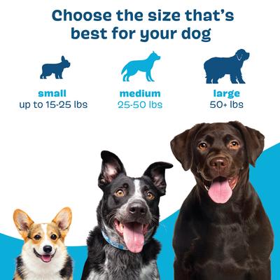 Show full view: BARK Bright Dental Kit: Small Chicken Flavored Dental Dog Treats + Chicken & Thyme Flavored Dog Dental Gel, 60 count, 3.8-oz gel bundle slide 7 of 9