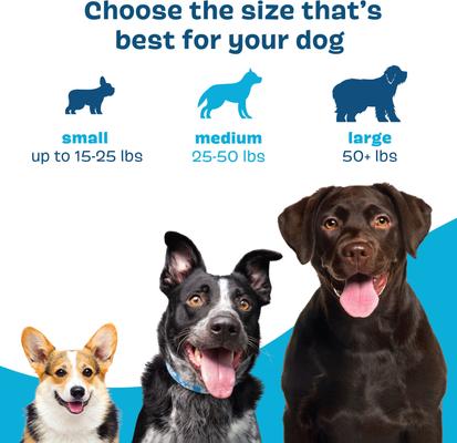 Show full view: BARK Bright Dental Kit: Small Chicken Flavored Dental Dog Treats + Chicken & Thyme Flavored Dog Dental Gel, 30 count, 1.9-oz gel slide 7 of 9