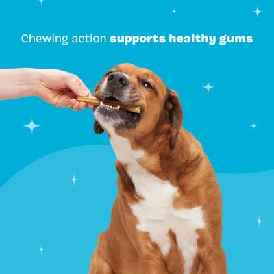 Show full view: BARK Bright Large Chicken Flavored Dental Dog Treats, 30 count slide 6 of 9