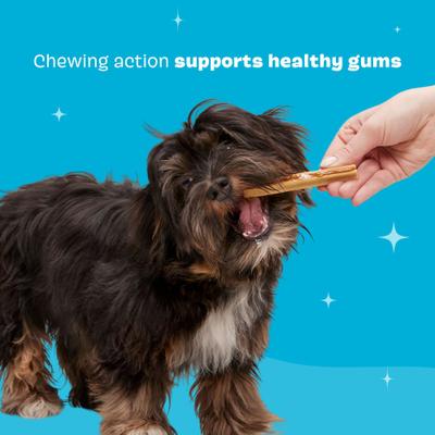 Show full view: BARK Bright Small Chicken Flavored Dental Dog Treats, 30 count slide 6 of 9