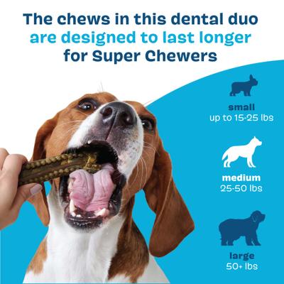 Show full view: BARK Bright Durable Dental Kit: Medium Mint Flavored Dental Dog Treats + Chicken & Thyme Flavored Dog Dental Gel, 15 count, 2.5-oz gel, bundle of 2 slide 7 of 9