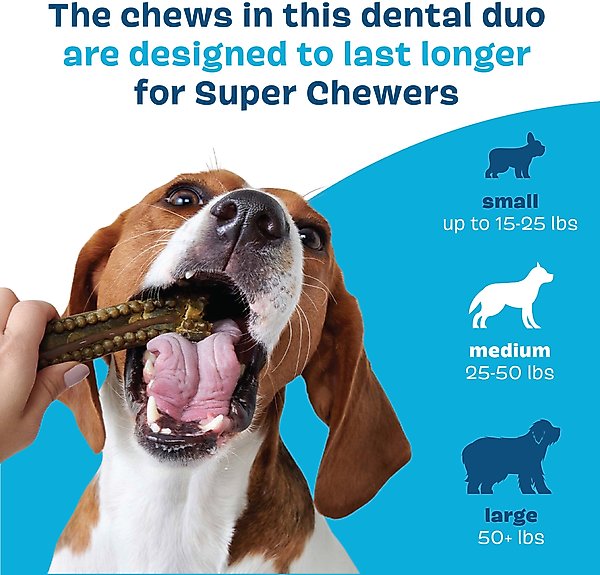 Show full view: BARK Bright Durable Dental Kit: Medium Mint Flavored Dental Dog Treats + Chicken & Thyme Flavored Dog Dental Gel, 15 count, 2.5-oz gel slide 7 of 8