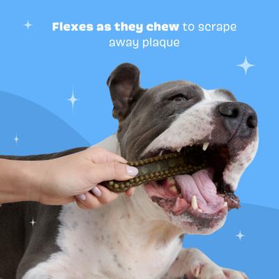 Show full view: BARK Bright Durable Large Mint Flavored Dental Dog Treats, 15 count slide 6 of 9