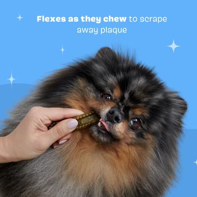 Show full view: BARK Bright Durable Small Mint Flavored Dental Dog Treats, 15 count slide 6 of 9