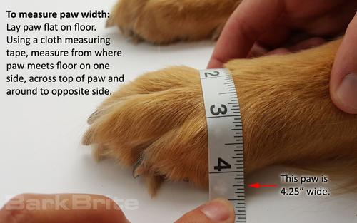 Show full view: Bark Brite All Weather Reflective Neoprene Dog Boots, 4 count, Black, Small slide 10 of 11