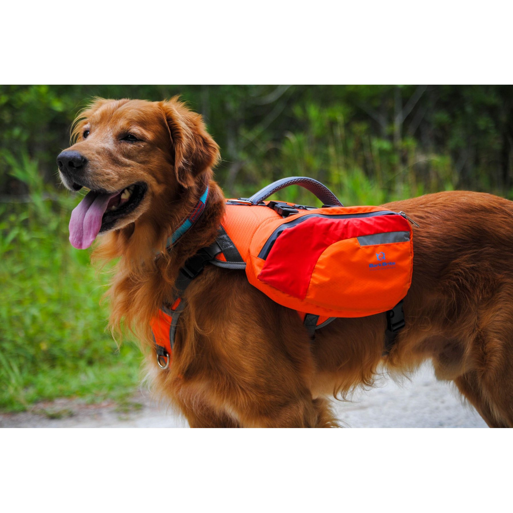 Bark Brite Multi-Purpose Dog Backpack Life Jacket, Orange, Large