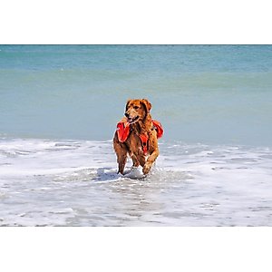 Bark Brite Multi-Purpose Dog Backpack Life Jacket, Orange, Large