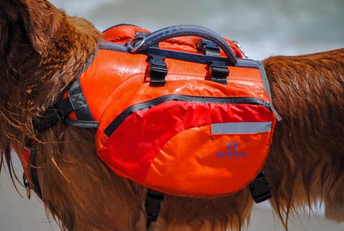 Show full view: Bark Brite Multi-Purpose Dog Backpack Life Jacket, Orange, Large slide 6 of 8