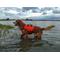 Show in main carousel: Bark Brite Multi-Purpose Dog Backpack Life Jacket, Orange, Large slide 7 of 8