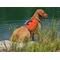 Show in main carousel: Bark Brite Multi-Purpose Dog Backpack Life Jacket, Orange, Medium slide 2 of 7