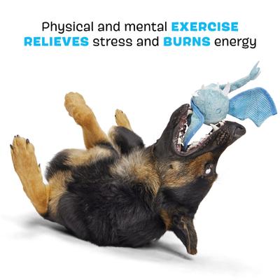 Show full view: BARK Brrrtha the Dragon Hard Core Tough Dog Chew Toy, Blue, Small slide 3 of 9