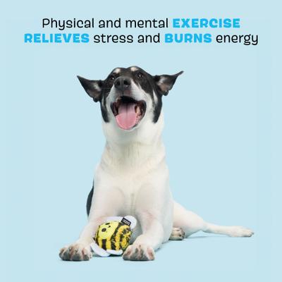 Show full view: BARK Buzzy Body Hard Core Tough Dog Chew Toy, Yellow, Medium slide 3 of 8