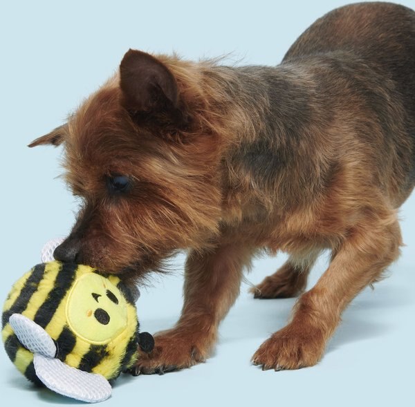 BARK Buzzy Body Hard Core Tough Dog Chew Toy, Yellow, Medium