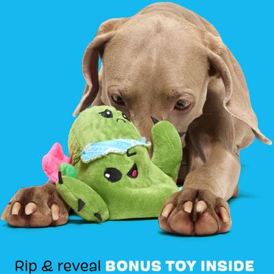 Show full view: BARK Cactus Rip & Reveal Squeaky Plush Dog Toy, Green, Large slide 4 of 8