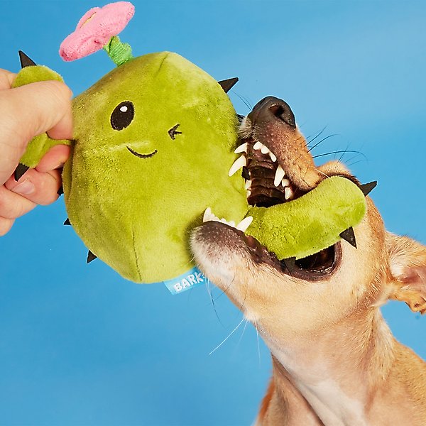 BARK Cactus Rip & Reveal Squeaky Plush Dog Toy, Green
