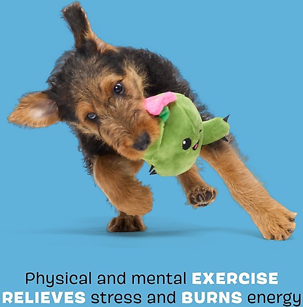 BARK Cactus Rip & Reveal Squeaky Plush Dog Toy, Green