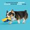 Show in main carousel: BARK Cece Slug Crinkle Squeaky Plush Dog Toy, Yellow slide 3 of 8