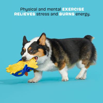 Show full view: BARK Cece Slug Crinkle Squeaky Plush Dog Toy, Yellow slide 3 of 8