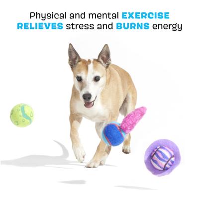 Show full view: BARK Celestial Lobjects Tough Squeaky Tennis Ball Dog Toys, Medium slide 3 of 9