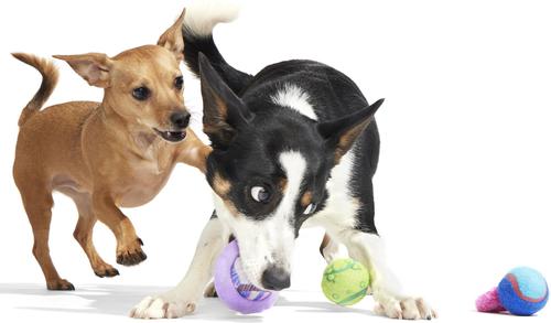 Show full view: BARK Celestial Lobjects Tough Squeaky Tennis Ball Dog Toys, Medium slide 6 of 9