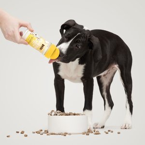 BARK Cheesy Does It! High Protein Limited Ingredient Dry Dog Food Topper, 4.6-oz bottle