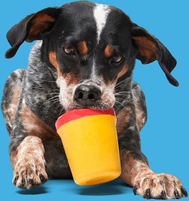 Show full view: BARK Chew-Dogh Super Chewer Tough Squeaky Treat Dispensing Dog Toy, Medium/Large slide 4 of 8