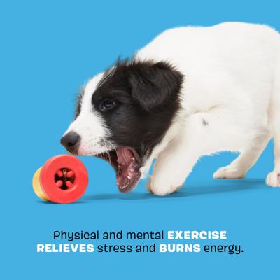 Show full view: BARK Chew-Dogh Super Chewer Tough Squeaky Treat Dispensing Dog Toy, Small slide 4 of 9