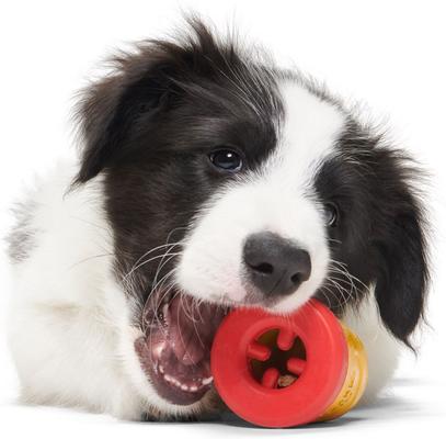 Show full view: BARK Chew-Dogh Super Chewer Tough Squeaky Treat Dispensing Dog Toy, Small slide 5 of 9