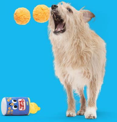 Show full view: BARK Chewz Ballz Squeaky Plush Dog Toy, Orange, Small slide 6 of 9