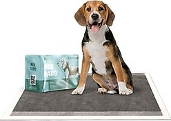 Bark & Clean Premium Activated Charcoal Traveller's Dog Potty Pad, 10 count, 36x36