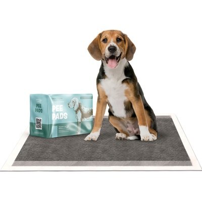 Bark & Clean Bark & Clean Premium Activated Charcoal Traveller's Dog Potty Pad, 10 count, 36x36