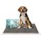 Show in main carousel: Bark & Clean Premium Activated Charcoal Traveller's Dog Potty Pad, 10 count, 36x36 slide 1 of 10