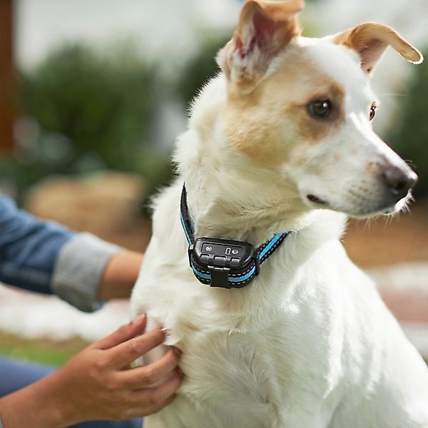 Show full view: Bark Collar, Waterproof & Rechargeable, 1 Collar slide 5 of 10