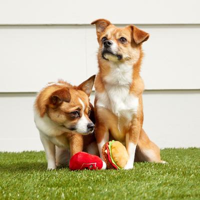Show full view: BARK Cookout Burger & Ketchup Picnic Pack Up Squeaky Plush Dog Chew Toy slide 5 of 9