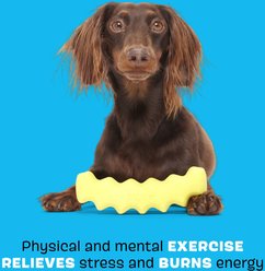 BARK Crinkle Fry Tough Dog Chew Toy, Yellow, Large slide 2 of 7