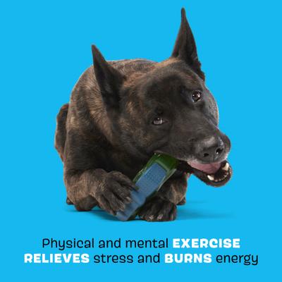 Show full view: BARK Crocness Monster Tough Dog Chew Toy, Green, Medium slide 3 of 9