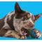 Show in main carousel: BARK Crocness Monster Tough Dog Chew Toy, Green, Medium slide 6 of 9