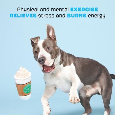 Show full view: BARK Cup of Bark Roast Squeaky Plush Dog Toy, White, Medium slide 3 of 8