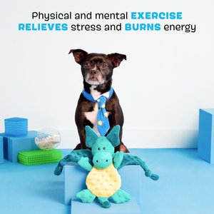 BARK Dingbert the Dragon Squeaky Plush Dog Toy, Blue