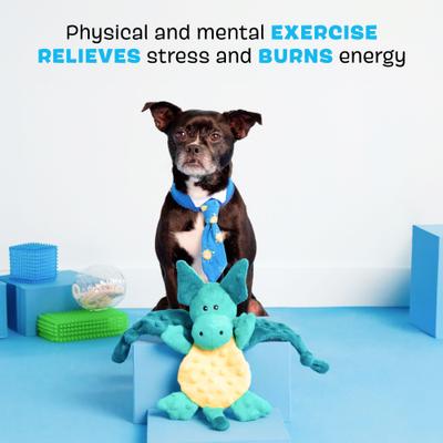 Show full view: BARK Dingbert the Dragon Squeaky Plush Dog Toy, Blue slide 3 of 7