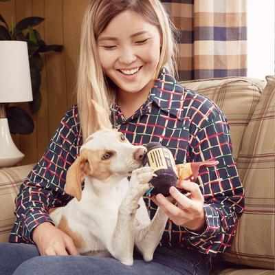 Show full view: BARK Doggochrome Film Roll Squeaky Plush Dog Toy, Small/Medium slide 5 of 9