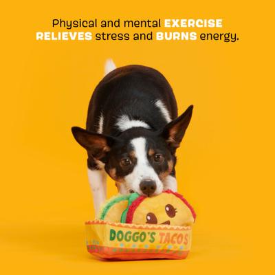 Show full view: BARK Doggo's Tacos 3-in-1 Squeaky Plush Dog Toy slide 4 of 9