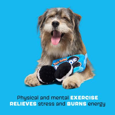 Show full view: BARK Dogo Dunkers Multi-Part Squeaky Plush Dog Toy, Blue slide 3 of 8