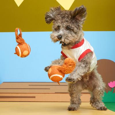 Show full view: BARK Double Trouble Squirrel Balls Squeaky Plush Dog Toys, Brown, Small slide 6 of 9